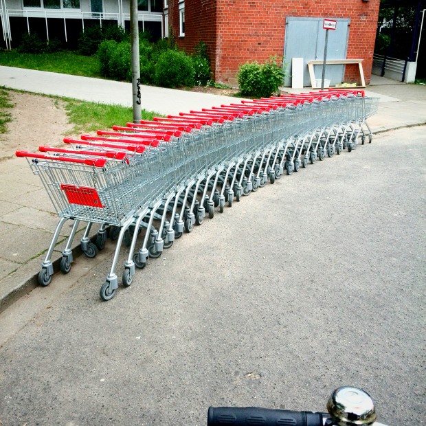 Wilde Einkaufswagen in Hamburg Meiendorf 