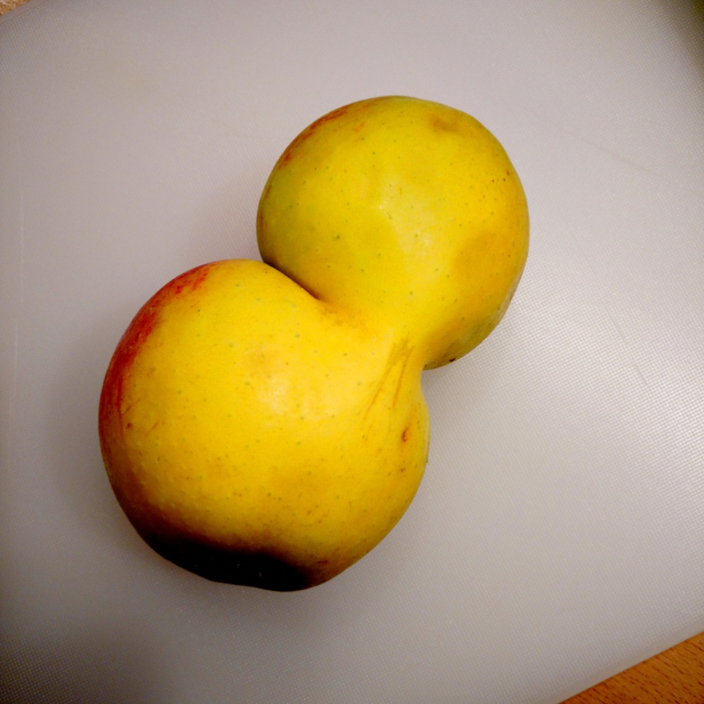 Foto von zwei ineinander gewachsene Äpfel auf einem Küchenbrett. 